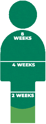 WOL-8-weeks-loop-sm WOL-8-weeks-loop-sm